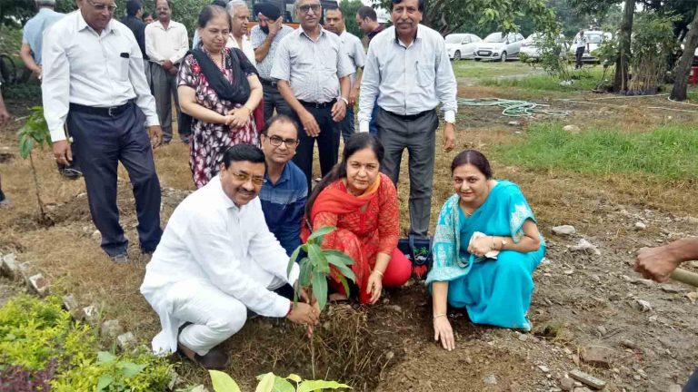 Read more about the article Tree Plantation in Siar